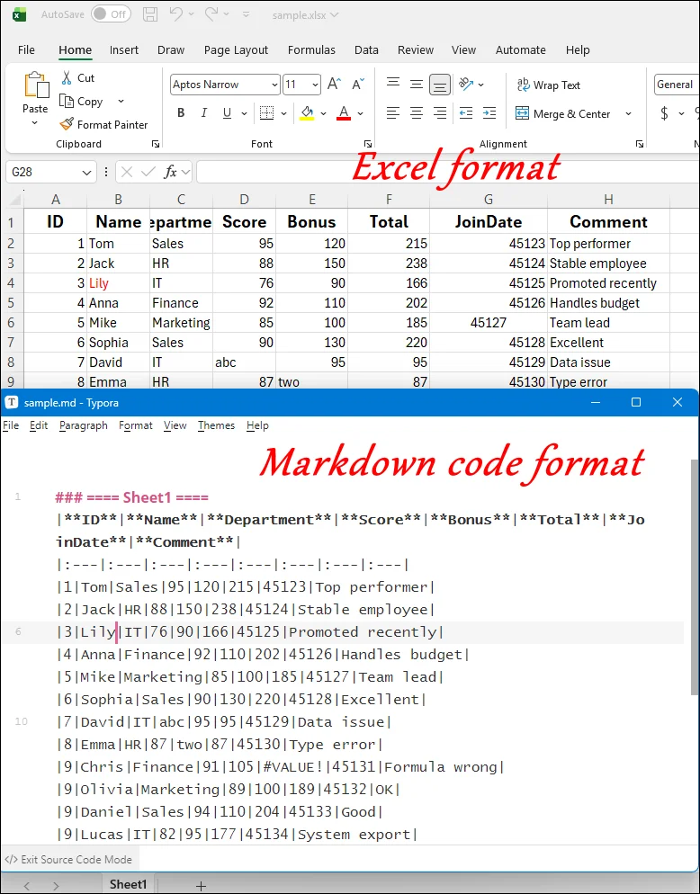 differences between excel format and markdown format